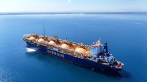 FSRU en la Bahía de Manzanillo: infraestructura crítica y contratos que dan energía