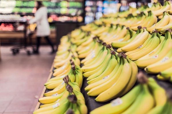 Riesgos en el crédito al cultivo de banano